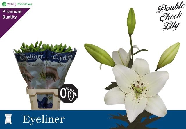 <h4>LI AS EYELINER</h4>