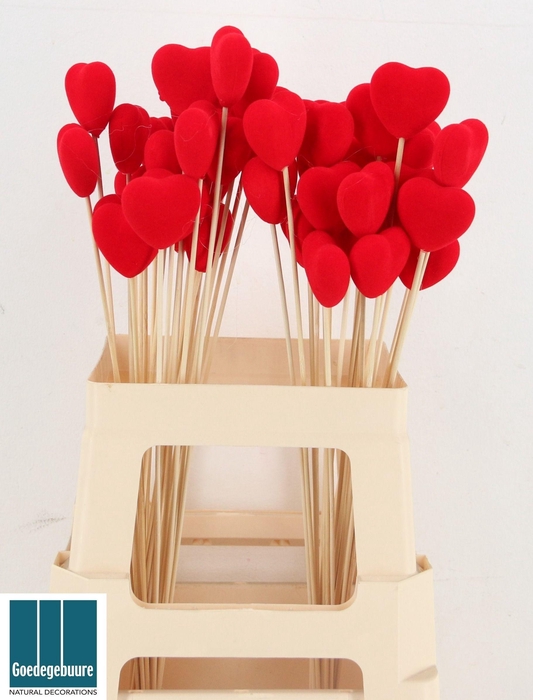 <h4>HARTJE OP STOK H%</h4>