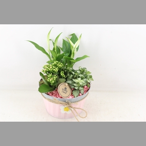 arr2 PL - Zink roze met bloem