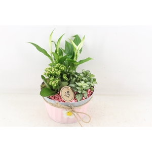 arr2 PL - Zink roze met bloem