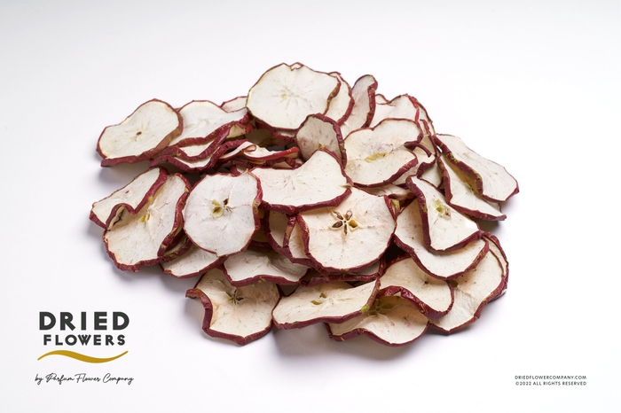 <h4>Dried Deco Red Apple Slice</h4>