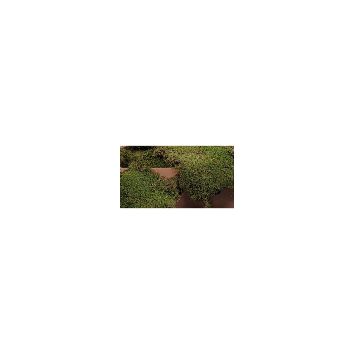 <h4>DROOG MOS PLAT, DOOS VAN 2 KG</h4>