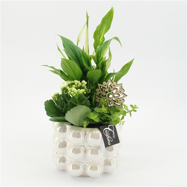 <h4>ESCR-2524 Essentials</h4>