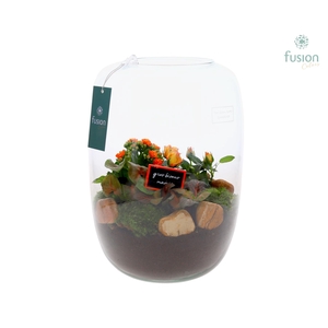 Green Bottle Isabella XLarge Grootmoederdag met Arrangement