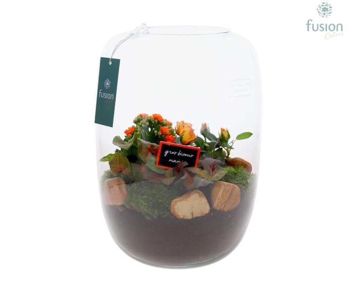 <h4>Green Bottle Isabella XLarge Grootmoederdag met Arrangement</h4>