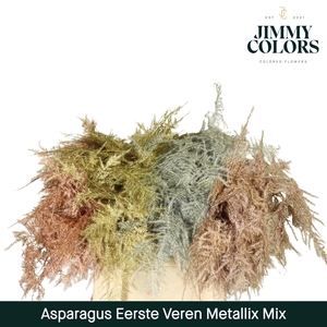 Aspa 1ste veren Metallic Mix
