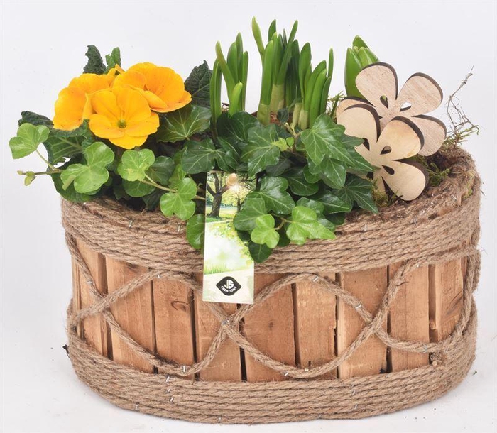 <h4>Hout ovaal touw decor 26x16cm</h4>