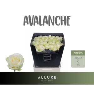 R GR AVALANCHE+ ALLURE .