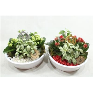 7451 KER KON LAAG ROOD/WIT