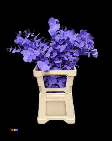 <h4>Cinerea Milka</h4>