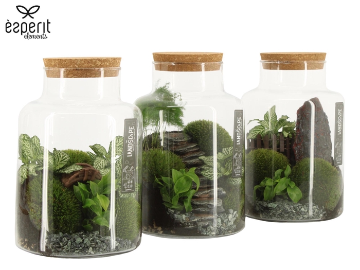<h4>90777: Landscape terrarium Large Melkbus D17 / H25</h4>