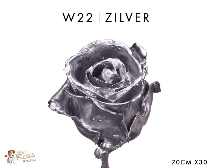 <h4>Wax-Rozen Wax Zilver w22</h4>