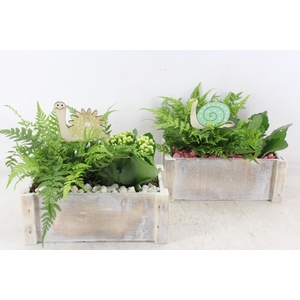Arr2 Pl - Hout Rechth. Wit X4 - Roze/wit