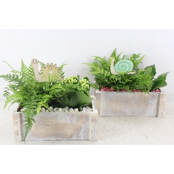 <h4>Arr2 Pl - Hout Rechth. Wit X4 - Roze/wit</h4>