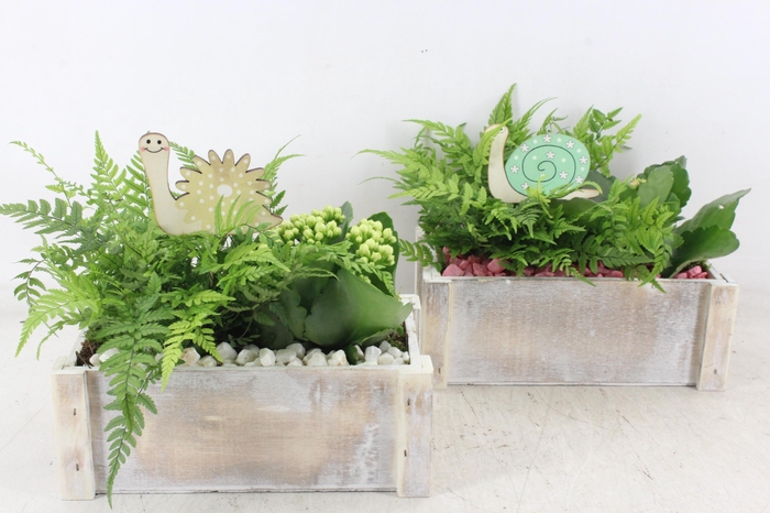 <h4>arr2 PL - Hout rechth. wit  x4 - roze/wit</h4>