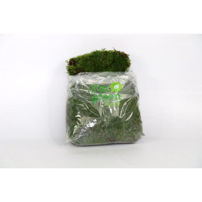<h4>PLATMOS BIO BAGS</h4>