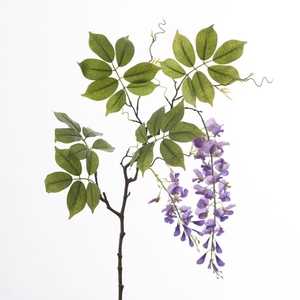 AF Wisteria L115cm Purple