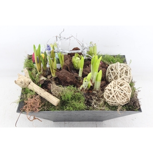 arr4 Bollenmix VL - Kunstst. 4kant 338/2