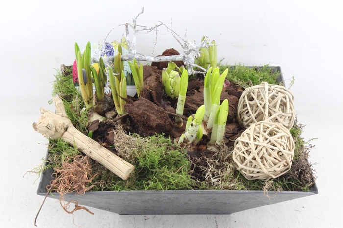 <h4>arr4 Bollenmix VL - Kunstst. 4kant 338/2</h4>