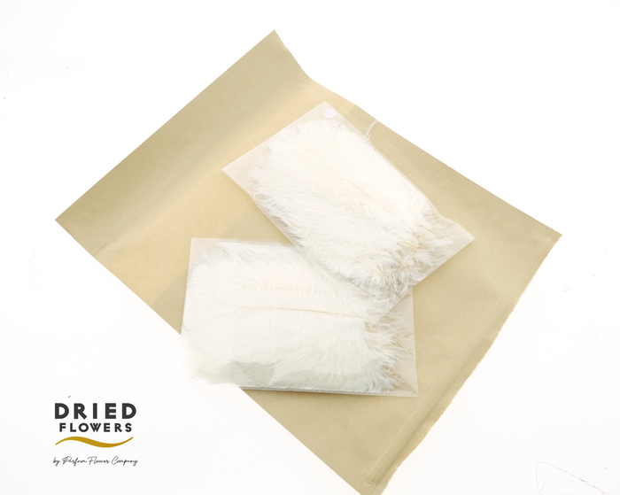 <h4>Dried Ostrich Feather White Big</h4>
