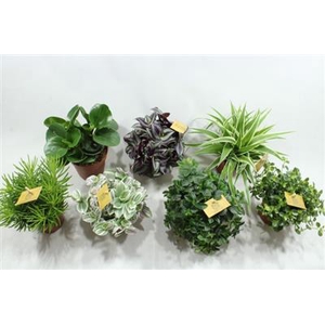 12CM SMIT MIX