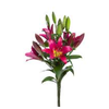 LIRIO TOUCHSTONE 090 CM HT 3/5 FLS