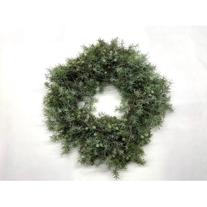 GARLAND WACHOLDER (JUNIPER)