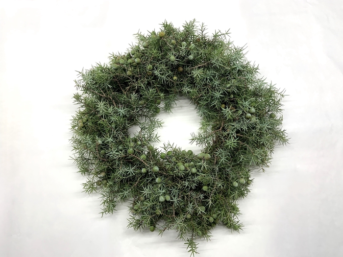 <h4>GARLAND WACHOLDER (JUNIPER)</h4>