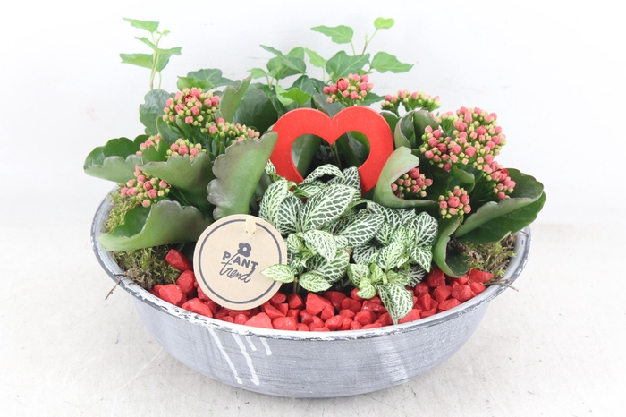 <h4>arr2 PL - Zink antiek schaal - rood</h4>