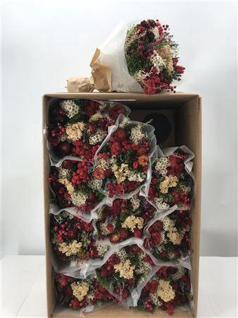 <h4>Dr Bqt Dried Fantasy Red</h4>