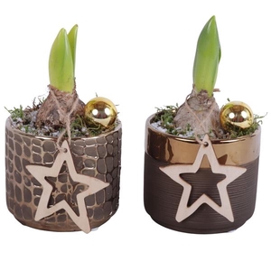 Christmas Arr. Hyacint Ceramic Pure Luxury N568 Ø10cm 1PP