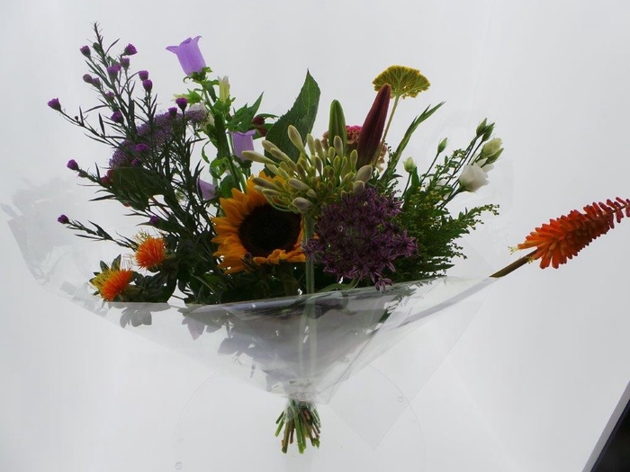 Bouquet Field Liv