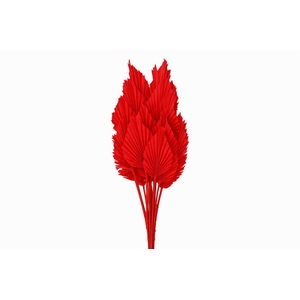 Dried Palm Spear 10pc Red Bunch