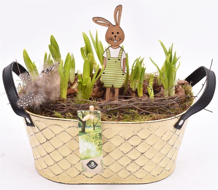 <h4>Zink ovaa met leer handvat 24x15cm</h4>