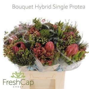 Bouquet Hybrid Single Protea