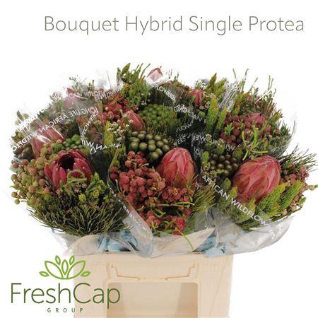 <h4>Bouquet Hybrid Single Protea</h4>