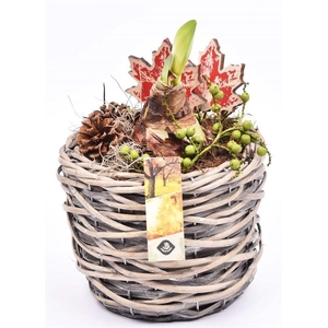 Wilg mand grijs 18cm