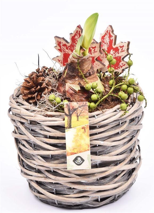 <h4>Wilg mand grijs 18cm</h4>