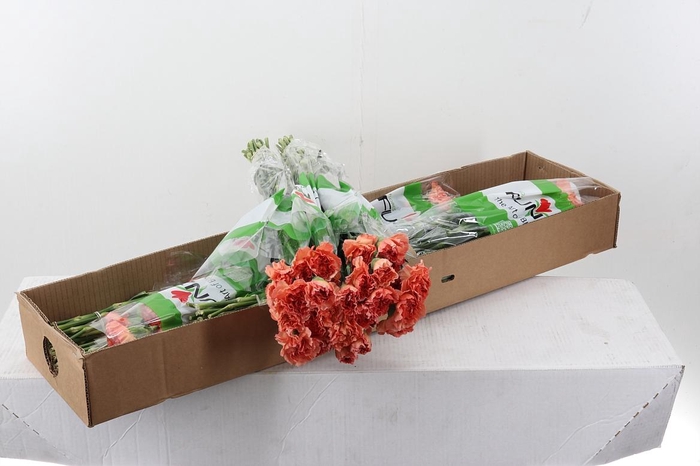 <h4>Di St Mandarin Box</h4>