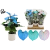 Anthurium 12 cm Make-Upz Blue Mix in Diamond Pearl Travertine ceramics