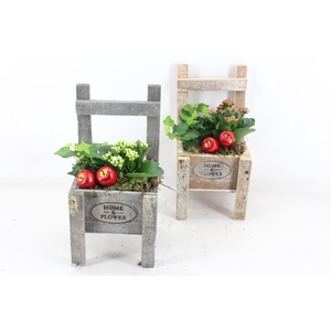 arr2 TD - Houten stoel - rood/wit