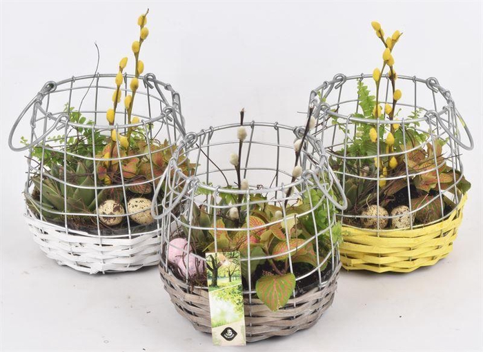 <h4>Willow metaal korf mix kl17cm</h4>