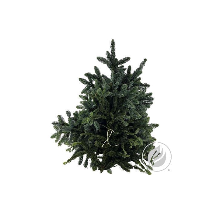 <h4>NOBILIS WHITEBAND 5 KG</h4>