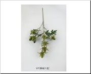 AF Eryngium L69cm Green