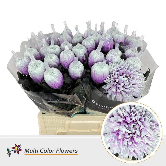 <h4>Chr T Kennedy After Eight</h4>