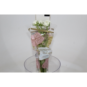 RANUN. ELEGANCE BRANCO 030 CM