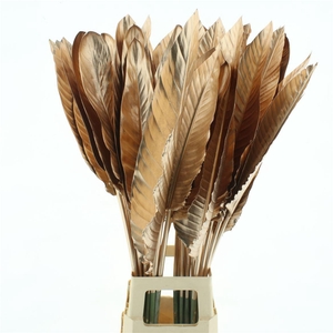 Strelit Blad Rose Goud