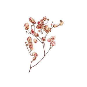 Dried Artz Bougainvillea Rafael Bunch