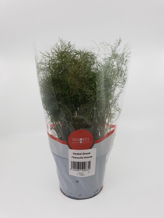 <h4>Bronsvenkel P12</h4>