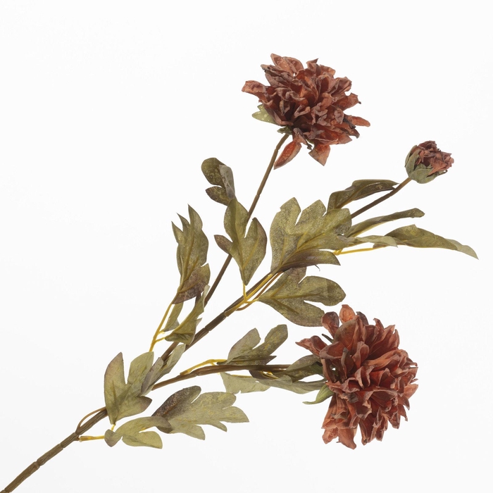<h4>Dahlia Spray Rust FL440400RST</h4>